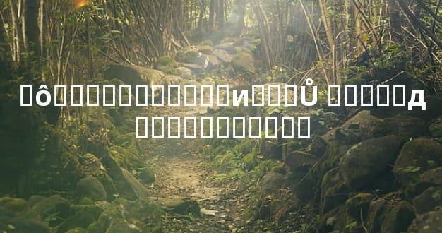 ʲô�����������и���Ů �����д�����������